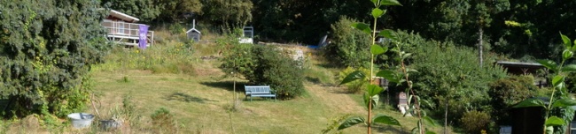 Garten am Johannisberg (Kernstadt)